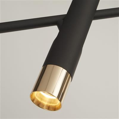 Auréle Noir Royal